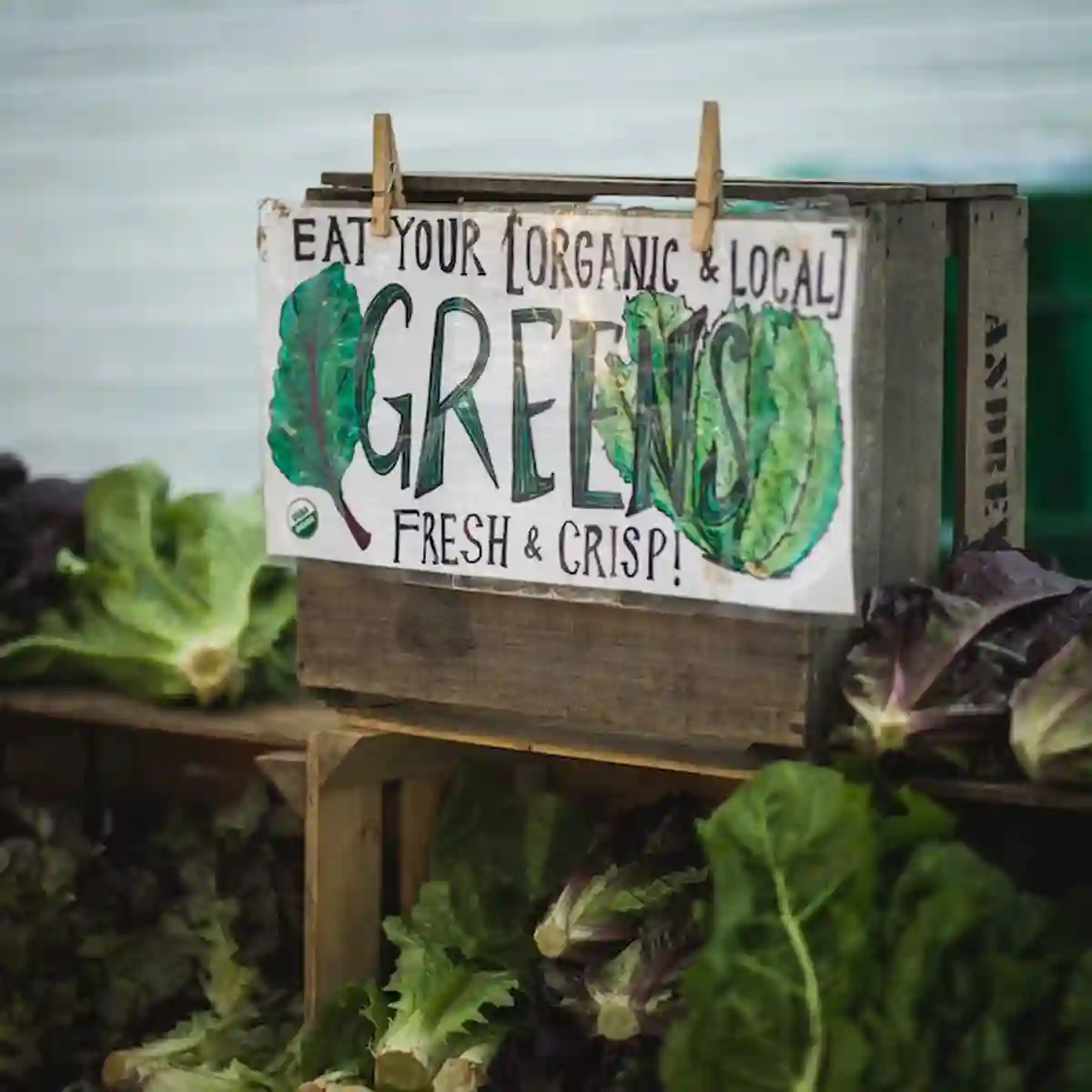 BIO Einkauf & Gütesiegel