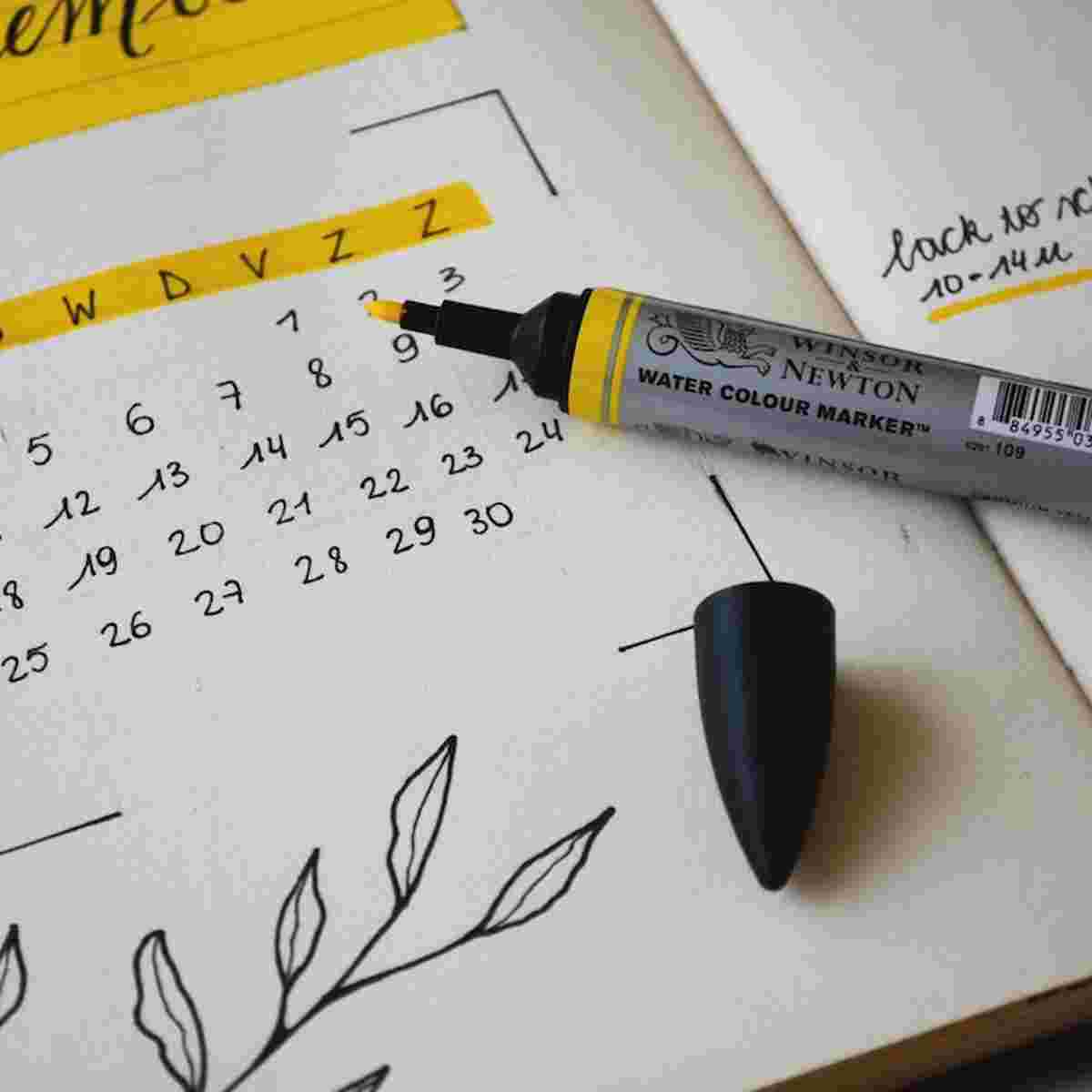 Der Saisonskalender