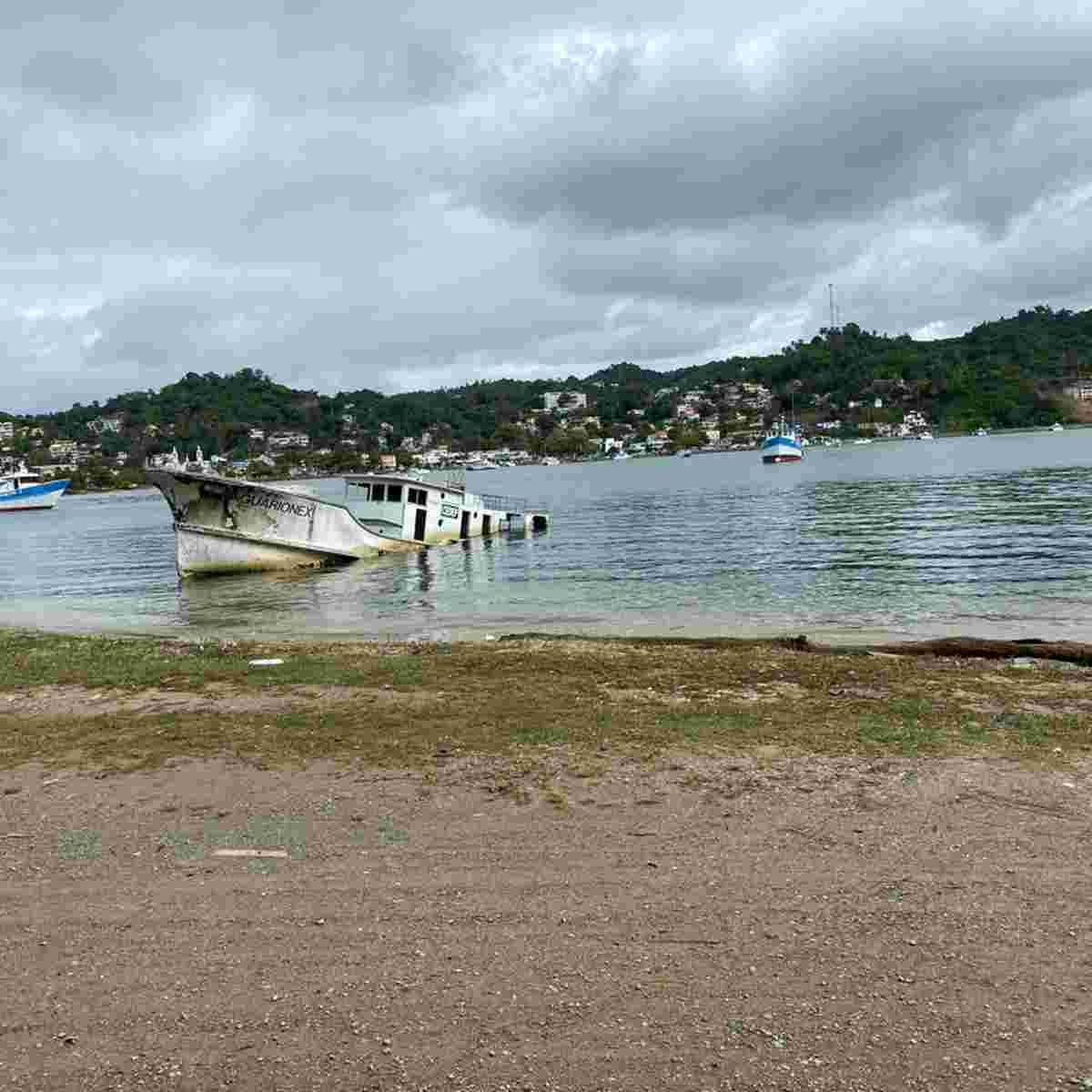 Background of the project and definition of terms