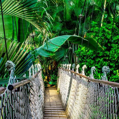 Green Travel Transformation, Germany
