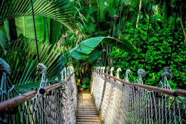 Green Travel Transformation, Germany