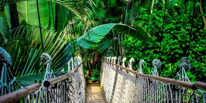 Green Travel Transformation, Germany