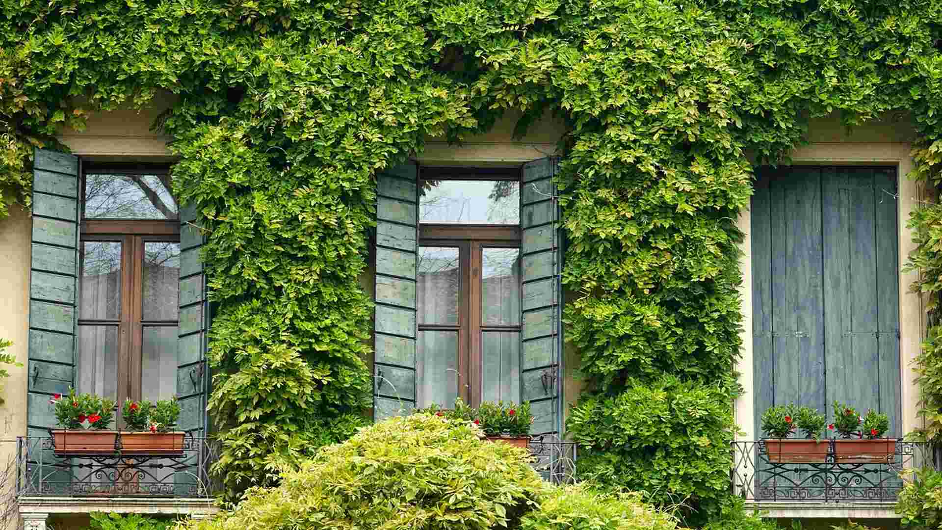 Grüner Gastgeber:innen-Guide 