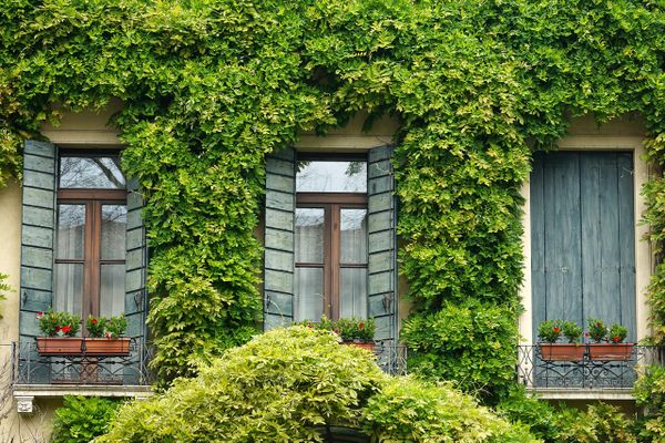 Green hosts guide