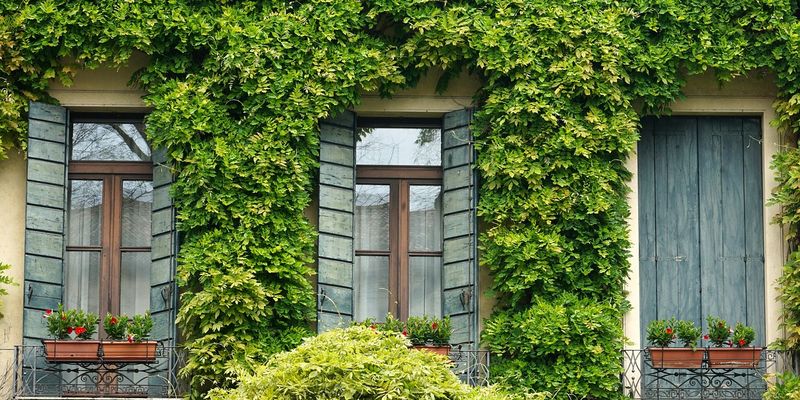 Green hosts guide