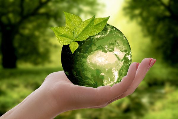 Climate protection at the counter