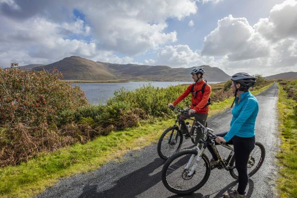 Ein "Stups" in Richtung Nachhaltigkeit