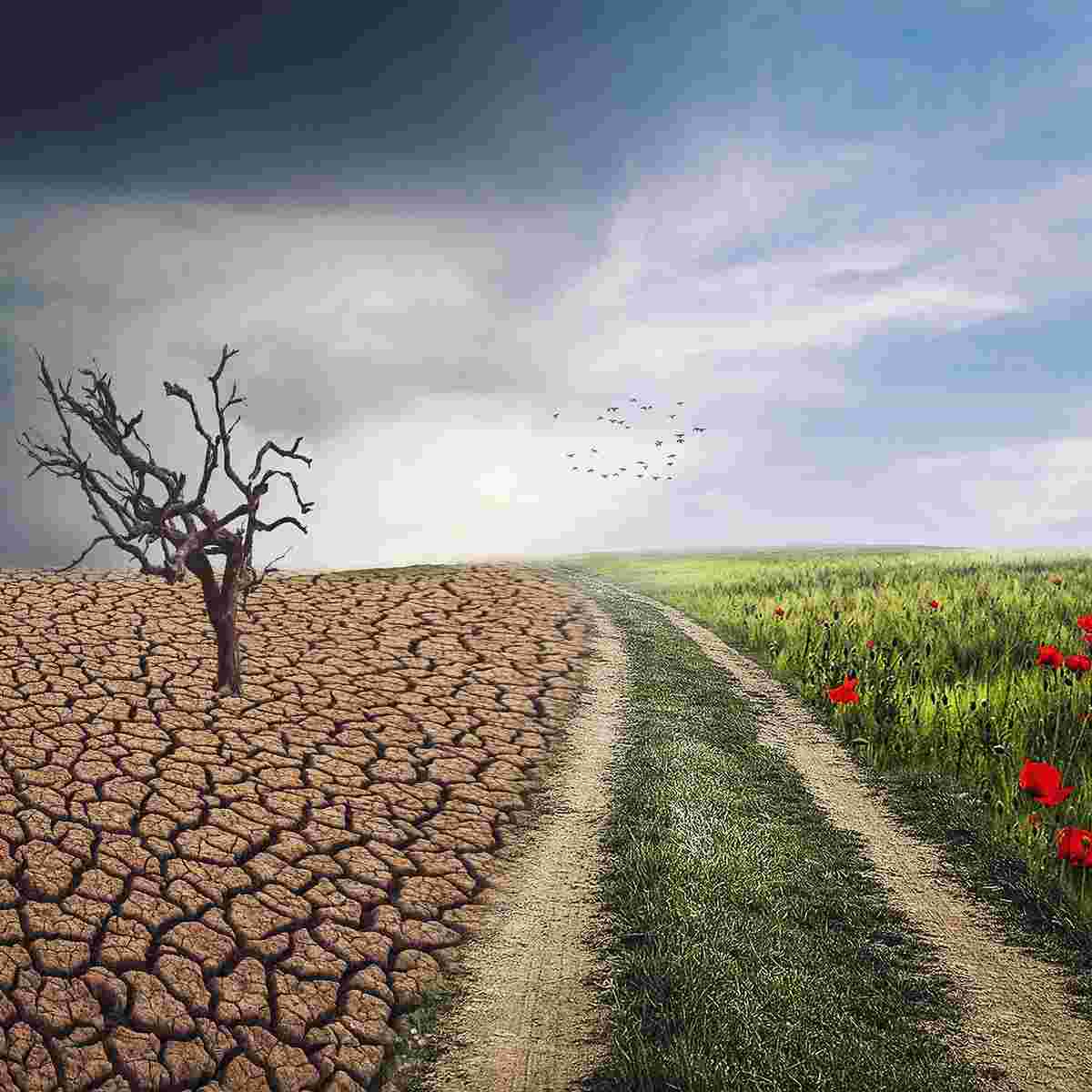 Was ist der Klimawandel?