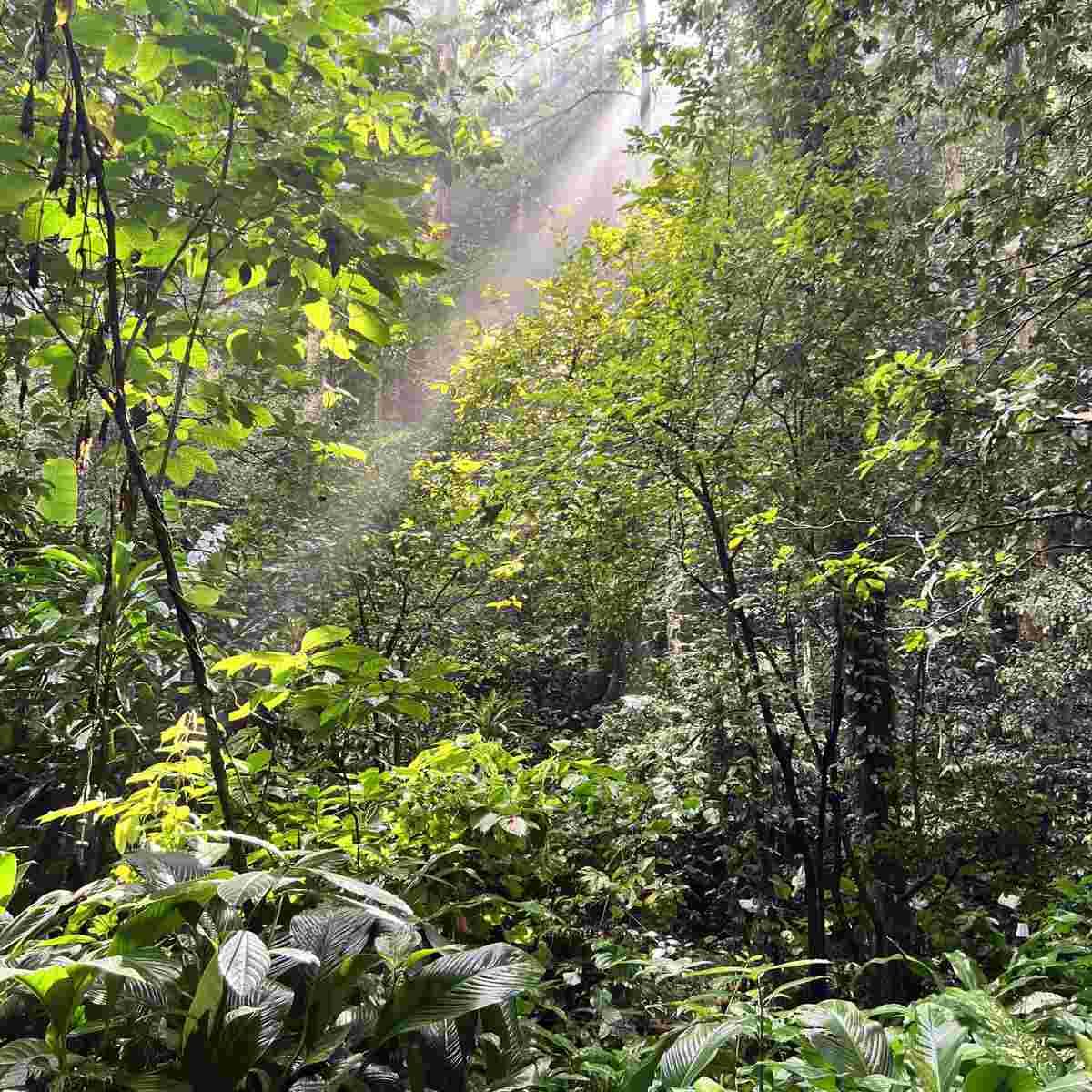 More Biodiversity in Tourism: Futouris Launches New Project with WWF and mascontour