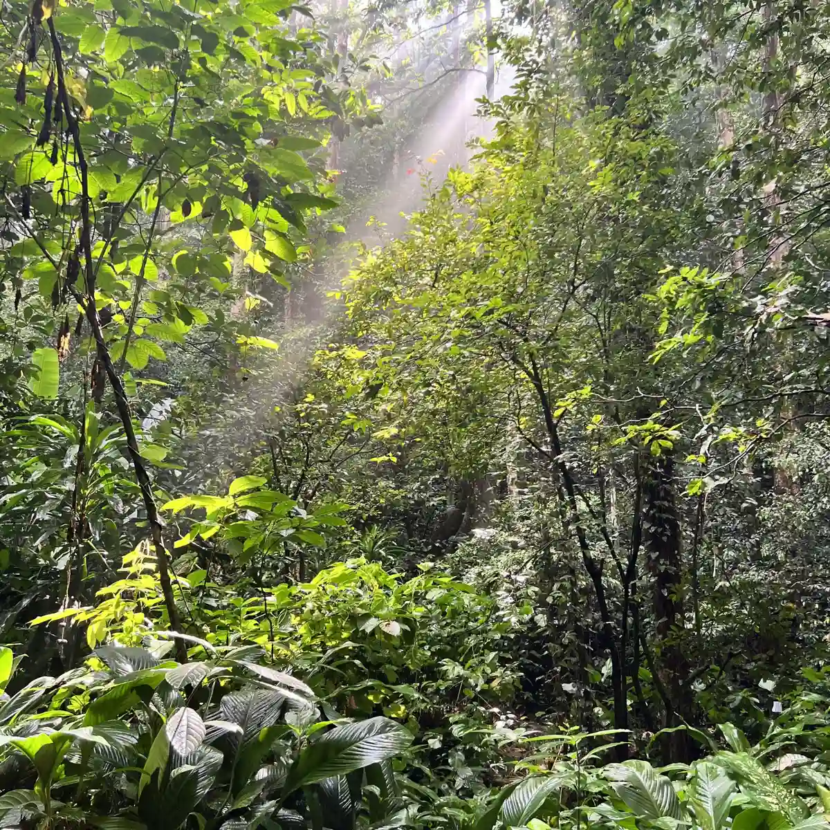 Mehr Biodiversität im Tourismus: Futouris-Projekt mit WWF und mascontour gestartet