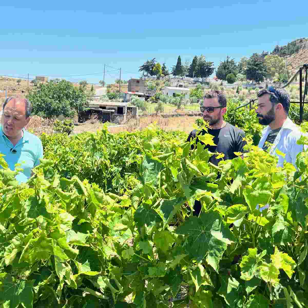 Trainings für regenerative Landwirtschaft in Griechenland gehen in die erste Runde