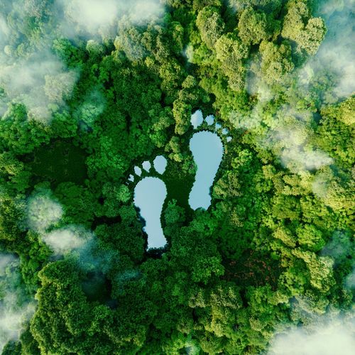 Klimabewusst reisen