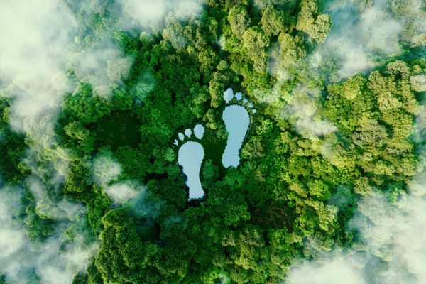 Climate-conscious travel