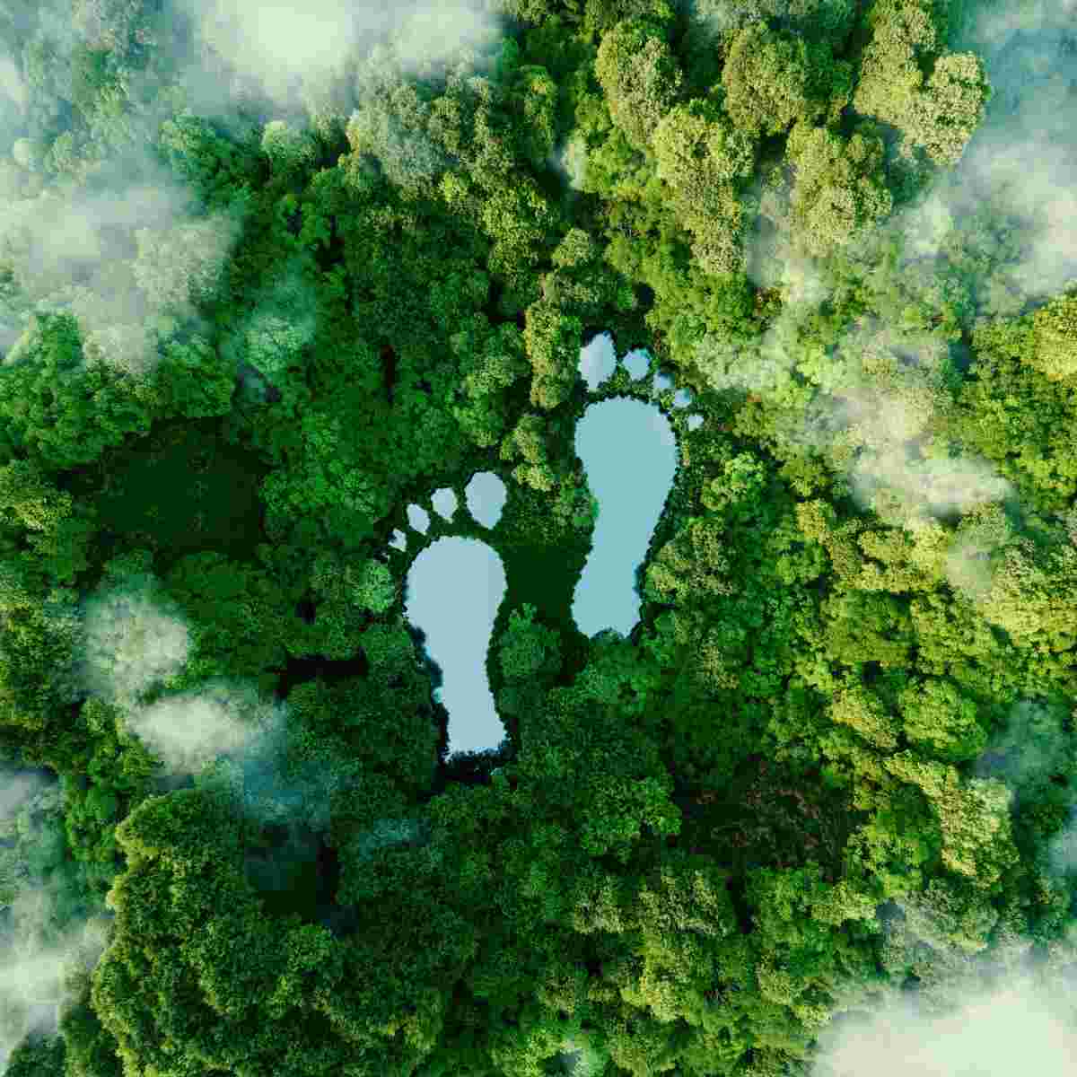 Der Klimafußabdruck