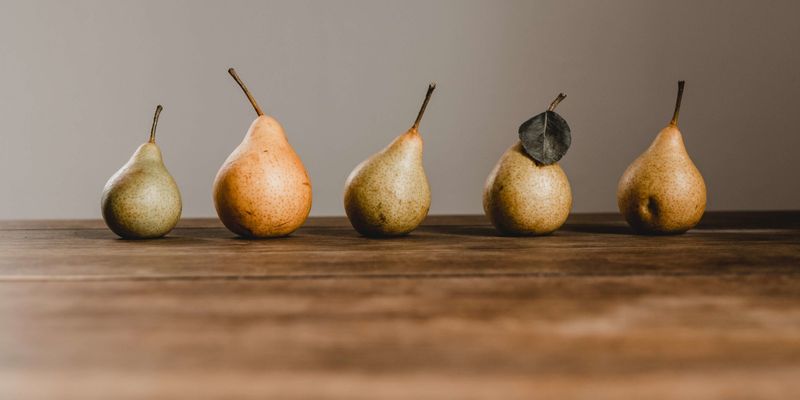 5 Schritte zur Nachhaltigkeit