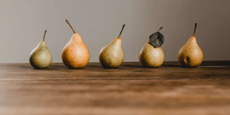 5 Schritte zur Nachhaltigkeit