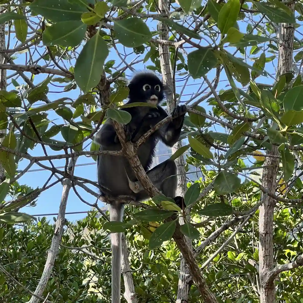 Biodiversity in Tourism: Industry project delivers initial key findings