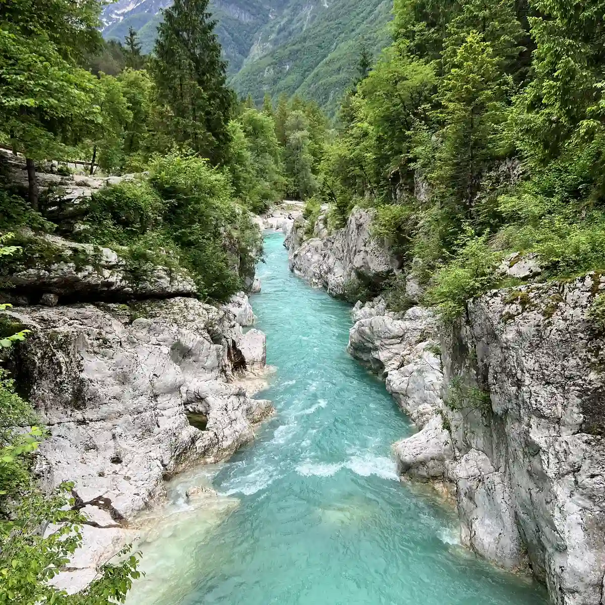 Implementation partner sought for the project "Biodiversity Protection in Tourism"