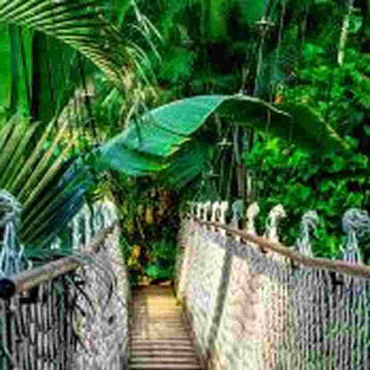 Green Travel Transformation Final Conference – April 19th, 2018
