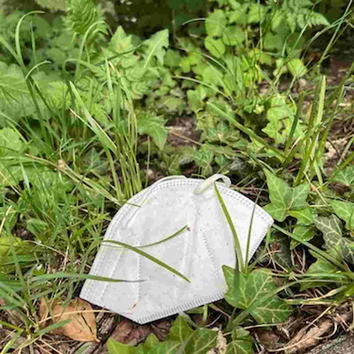 Increased use of single-use plastic products during pandemic