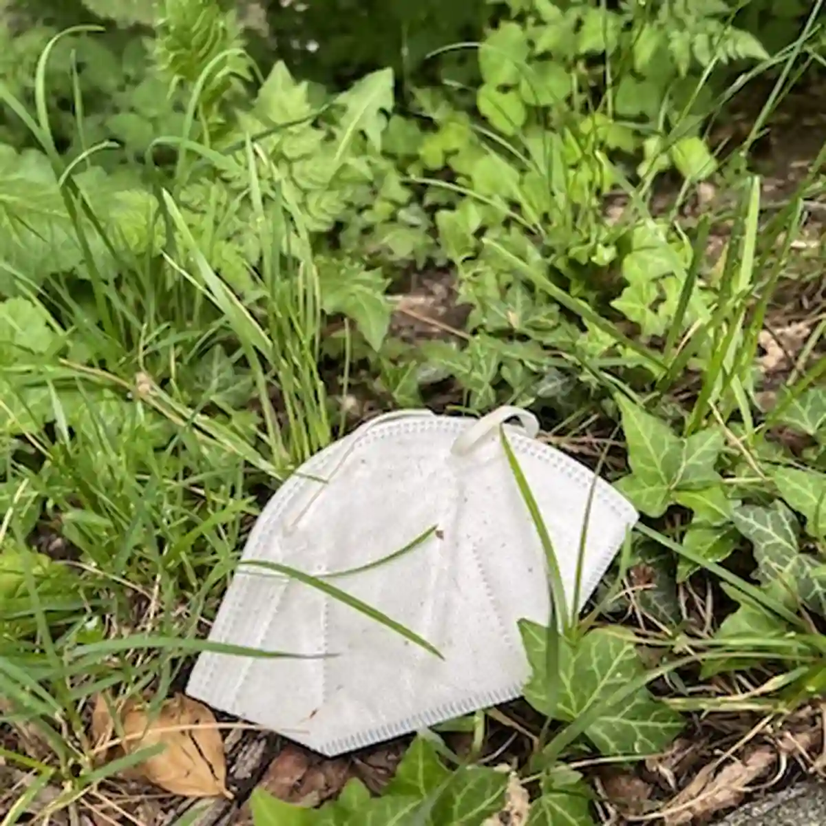 Increased use of single-use plastic products during pandemic