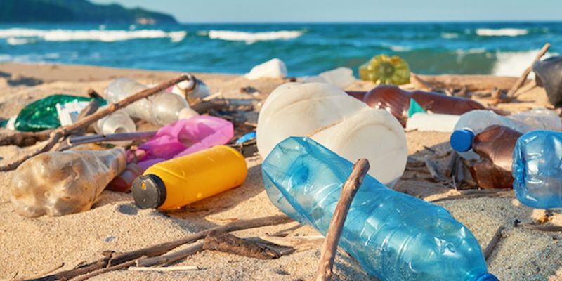 Impact of plastic pollution on the environment