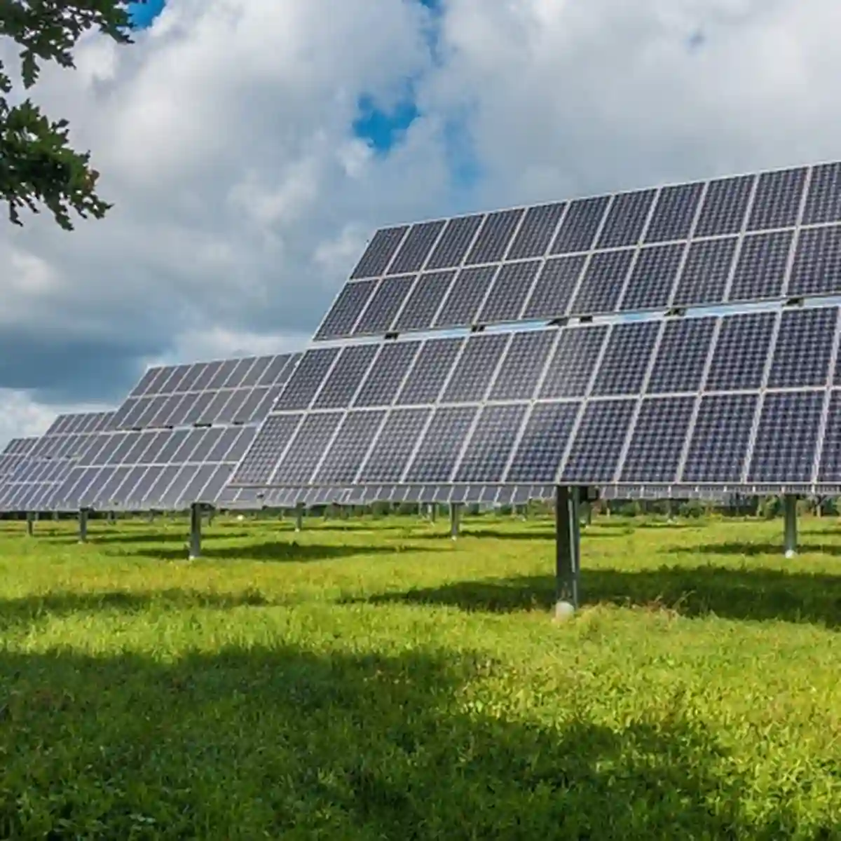 Welche Qualitätsstandards für Klimaschutzprojekte gibt es?