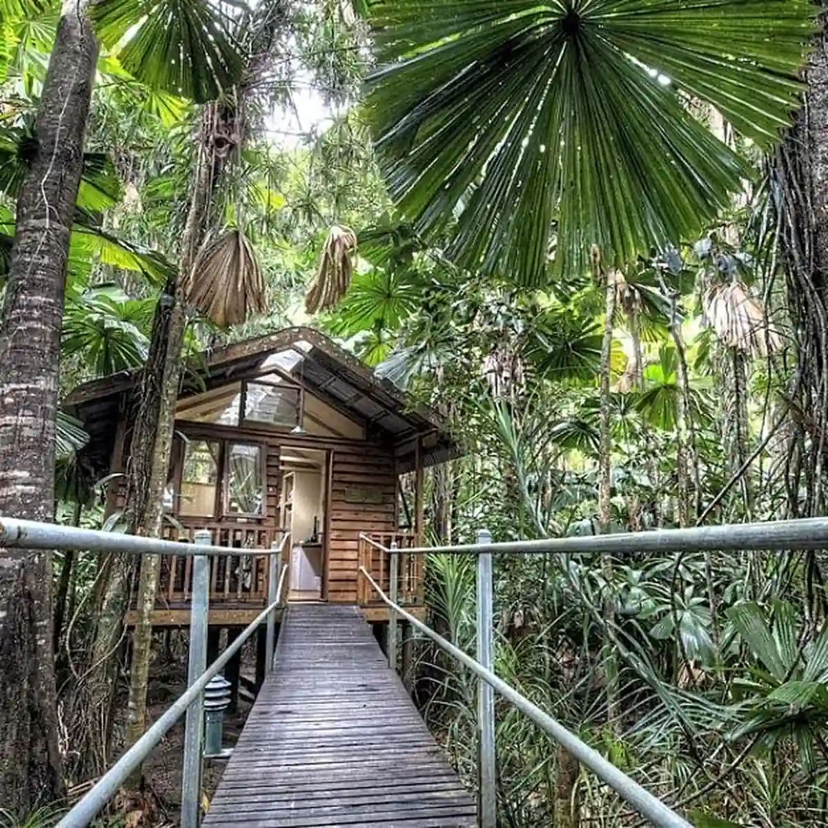 Case Study: Empowering Guest Behaviour Change at Daintree to Reduce Resource Use