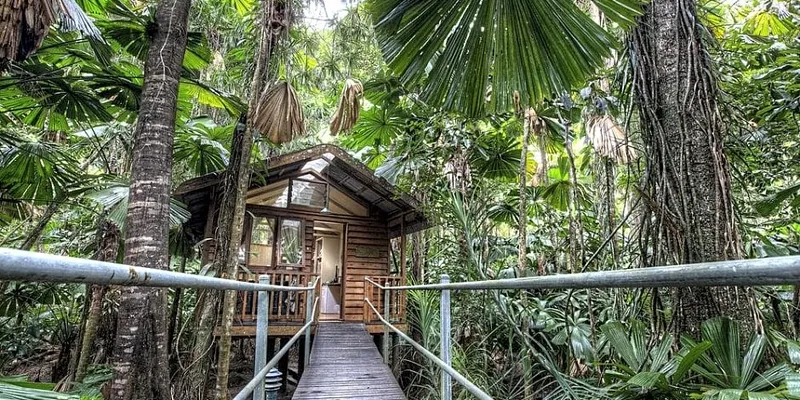 Case Study: Empowering Guest Behaviour Change at Daintree to Reduce Resource Use