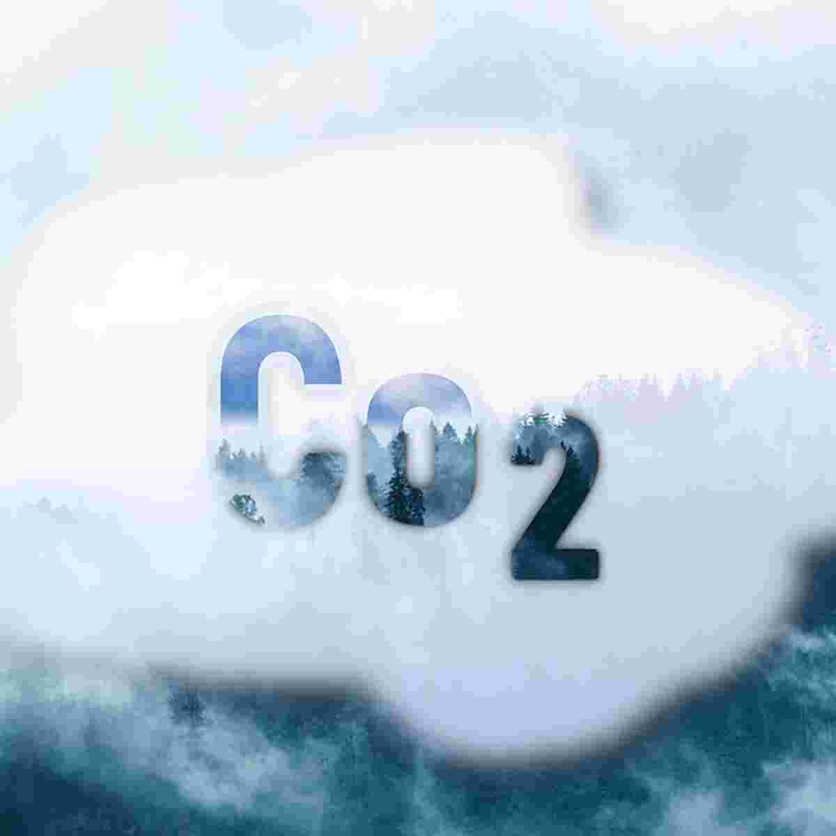 Wie funktioniert die CO2-Kompensation?