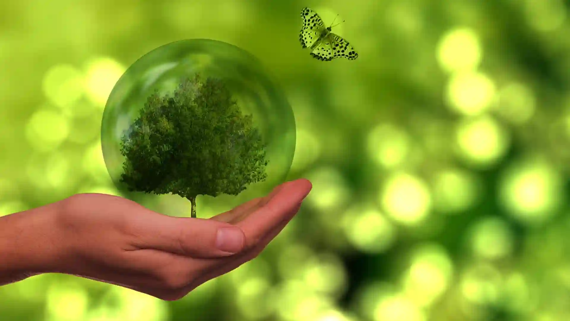 Nachhaltigkeit am Counter