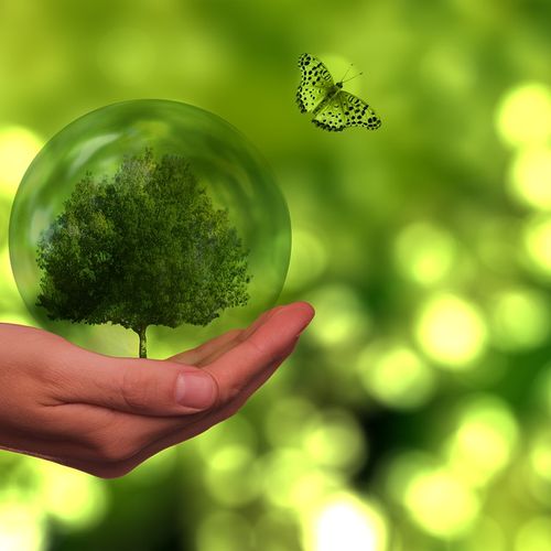 Sustainability at the counter