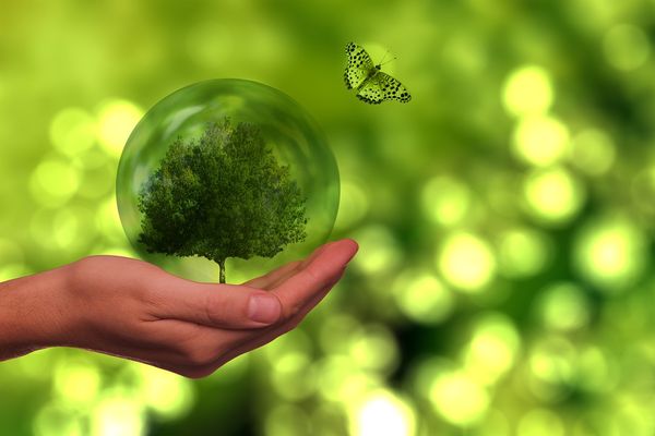 Sustainability at the counter