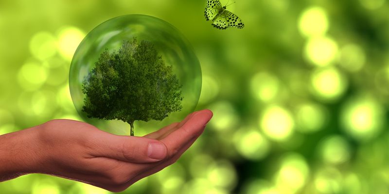 Sustainability at the counter