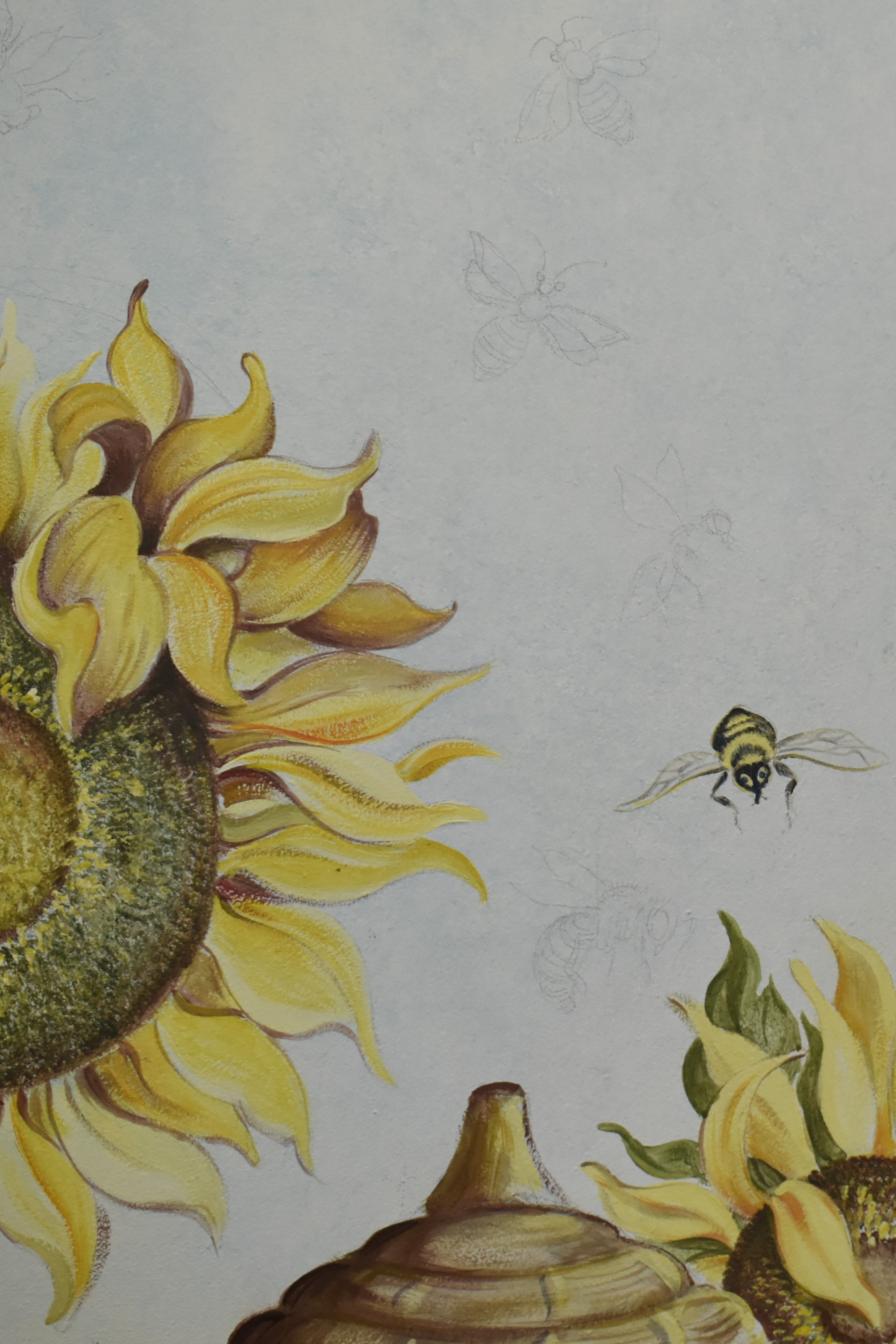 Następny etap Słonecznej Krainy