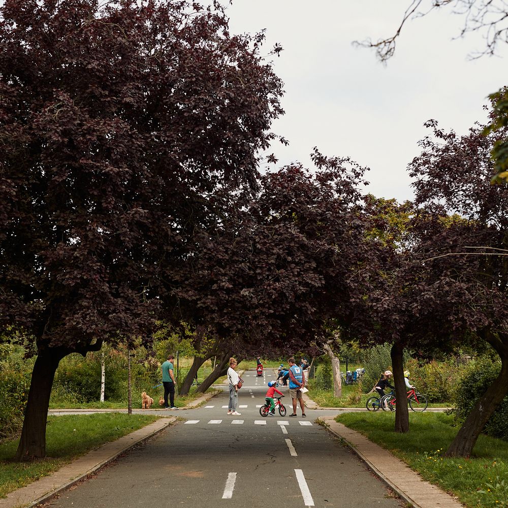 street view with kids crossing on bikes and families walking dogs.