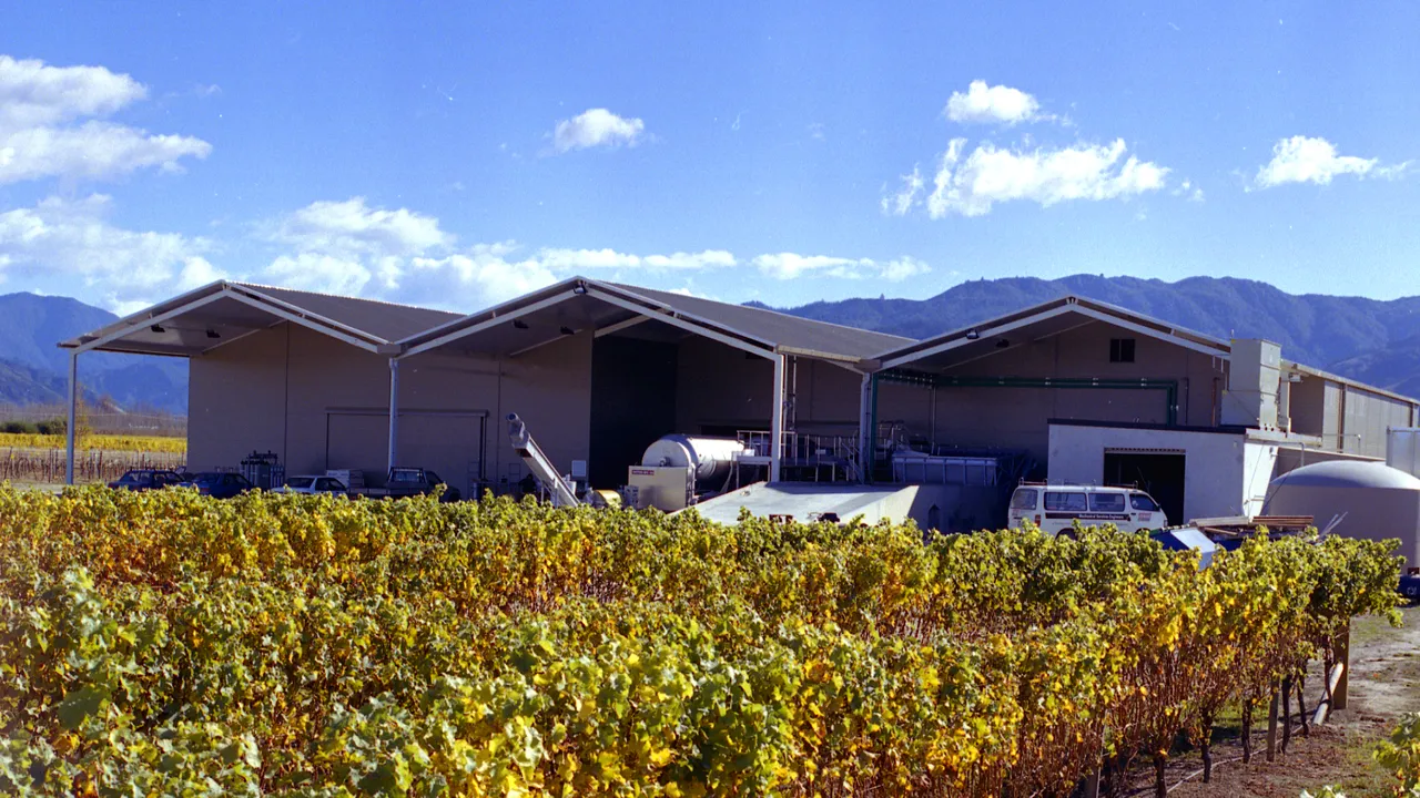 From First Project to Enduring Partnership: 25 Years with Wairau River Wines