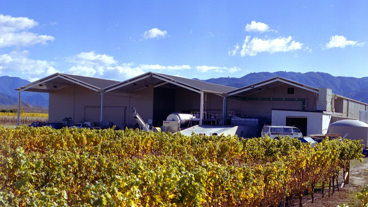 From First Project to Enduring Partnership: 25 Years with Wairau River Wines