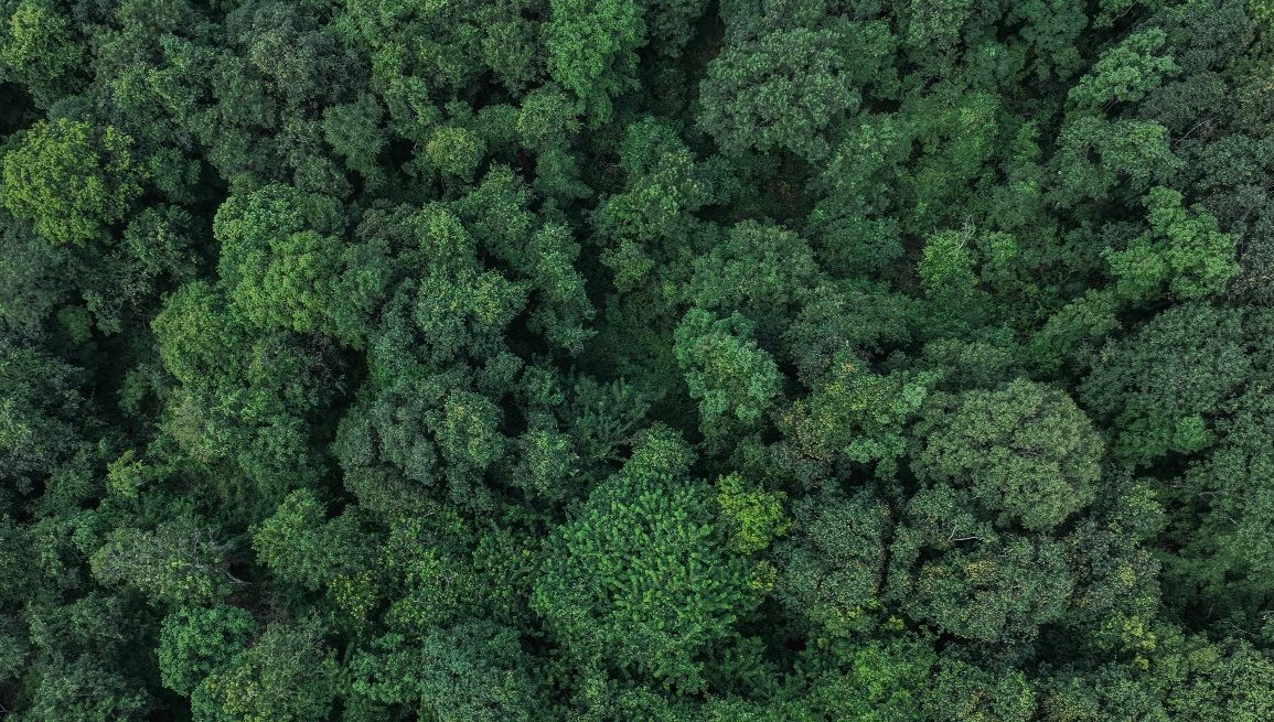 U-BUBBLE GREEN - COMFORT E RISPETTO PER L'AMBIENTE