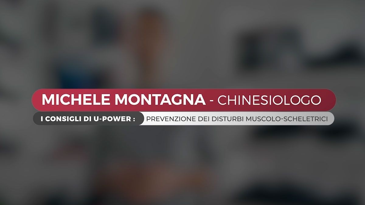 veiligheidsschoenen point productlijn redlion