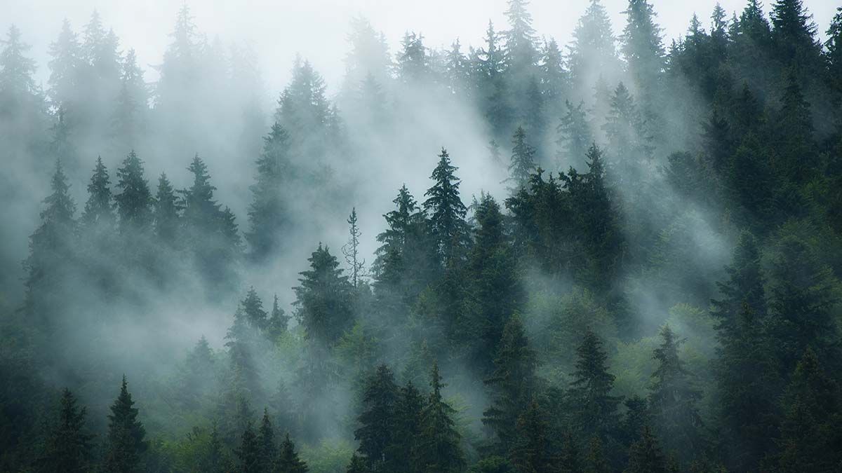 politiche ambientali