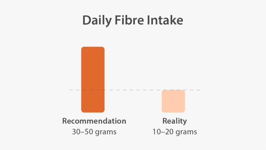 Fibre-Intake