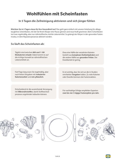 scheinfasten_ lavita
