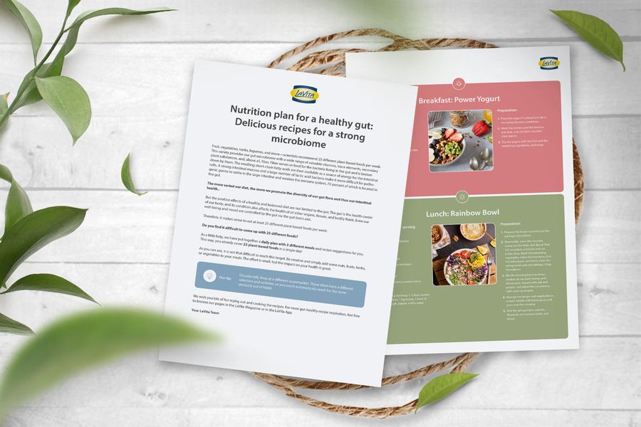 Nutrition Plan for the Gut