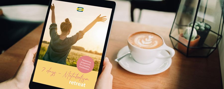 metabolism retreat pdf