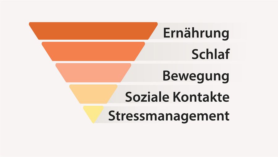 5 Gewohnheiten für ein gesundes Leben