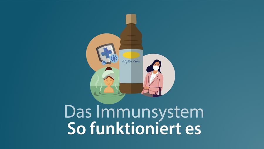 Immunsystem-Video