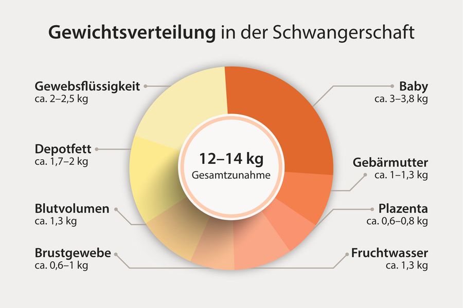 Gewichtsverteilung Schwangerschaft