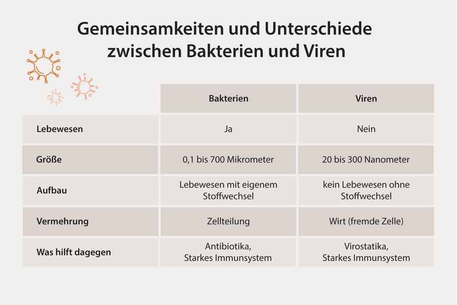gemeinsamkeiten-unterschiede-bakterien-viren