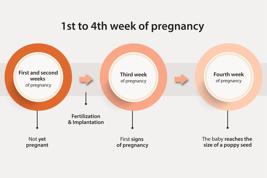 signs of pregnancy